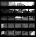 Single Image Contact Sheet