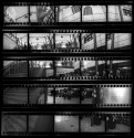 Single Image Contact Sheet