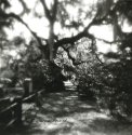 St. Andrew's Cemetery
