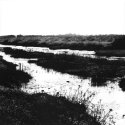 Coastal Forms