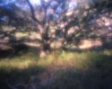 Color Zone Plate With Zero Image 4x5