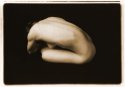 Studio Nude