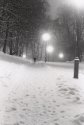 Nightwalk