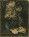 "oilgraph 3"