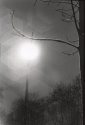 Nightlight