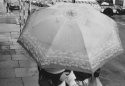 In the Rain