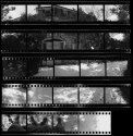 Single Image Contact Sheet