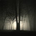 Split Tree