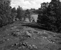 Pigface Island