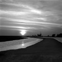 Hickory Mound 4