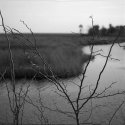 Hickory Mound 5