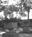 Park Expansion
