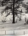 Tioga Pass Rd.