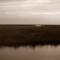 Hickory Mound 13