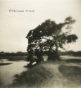 Evening On The Marsh