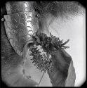 Fish - Macro Test - A Problem