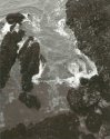 Tidal Zone
