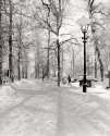 Silent Walk