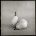 The Pears