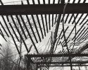 Snowfence Greenhouse