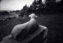 Cemetery Sentinel