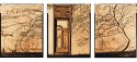 Vines And Door Triptych