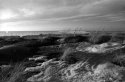 Silver Beach