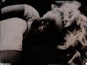 Doll No.1 - Wet Plate Collodion BGA
