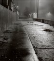 Fog Ally