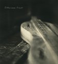 Dulcimer 2