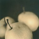 Stilllife#1