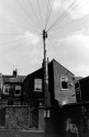 Wires