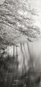 Neversink River