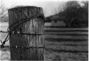 Forbidding In Rodinal