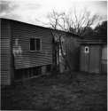 Abandoned In Diana