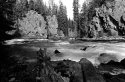 Various B&w