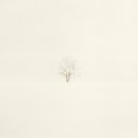 Trees In Snow 40