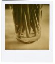 Stems