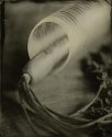 Slinky...