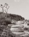 Column Remains