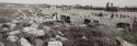 Harbour Agora, Miletus