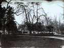 First Collodion Shoot Outside