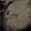 Birdhouse