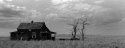 Abandoned Farmhouse, North Of Terrebone, Central Oregon