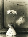 A Strange Bouquet