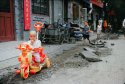 Beijing Baby (2009)