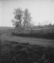 Landscape In Soft Evening Light