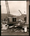 Cranes