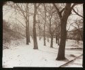 Cold Fog