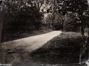 Collodion Landscape 2